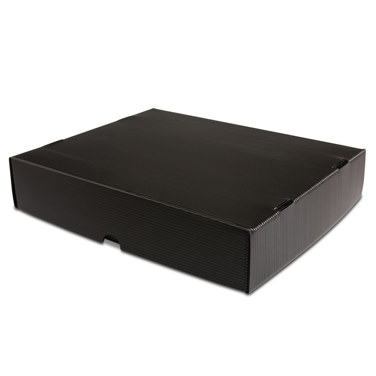 

Print File Two-Piece Micro-Perforated Print Box, 20.5x24.5x3"