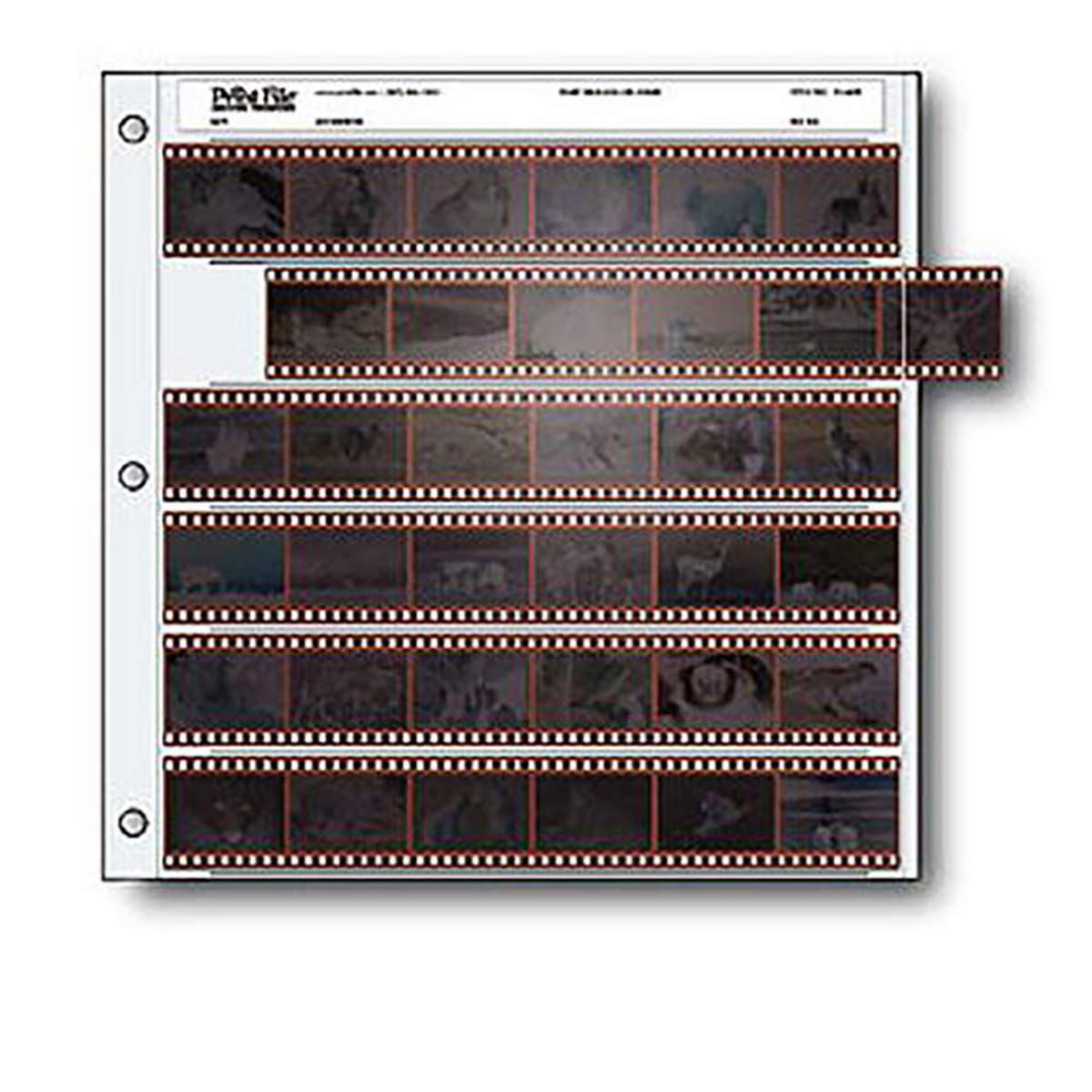 

Print File 100050 Archival 35mm Negative Pages, 25
