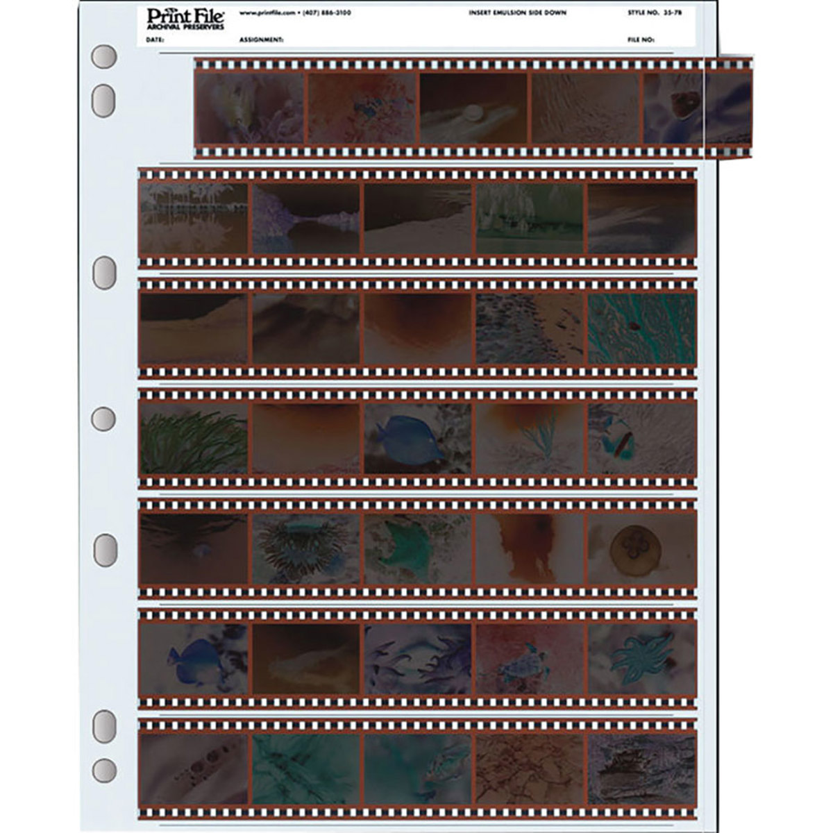 

Print File 100090 Archival 35mm Negative Pages, 100
