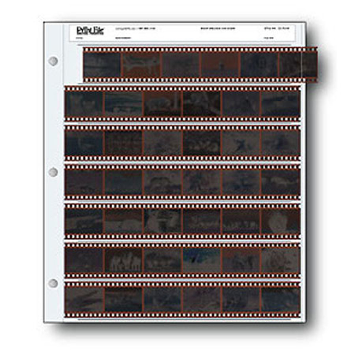 

Print File 100118 Archival 35mm Negative Pages, 25