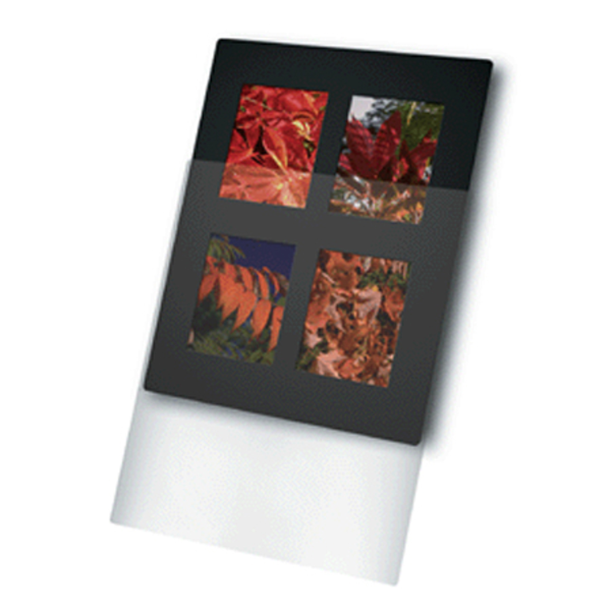 

Print File 11x14" Overmat with 4 Windows, 4x5cm Image Format, 10 Pack