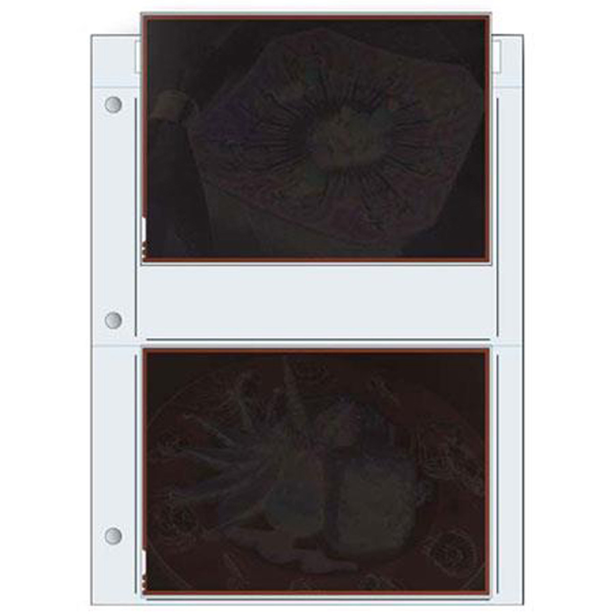 

Print File 340240 Archival Negative Pages, 8x10in