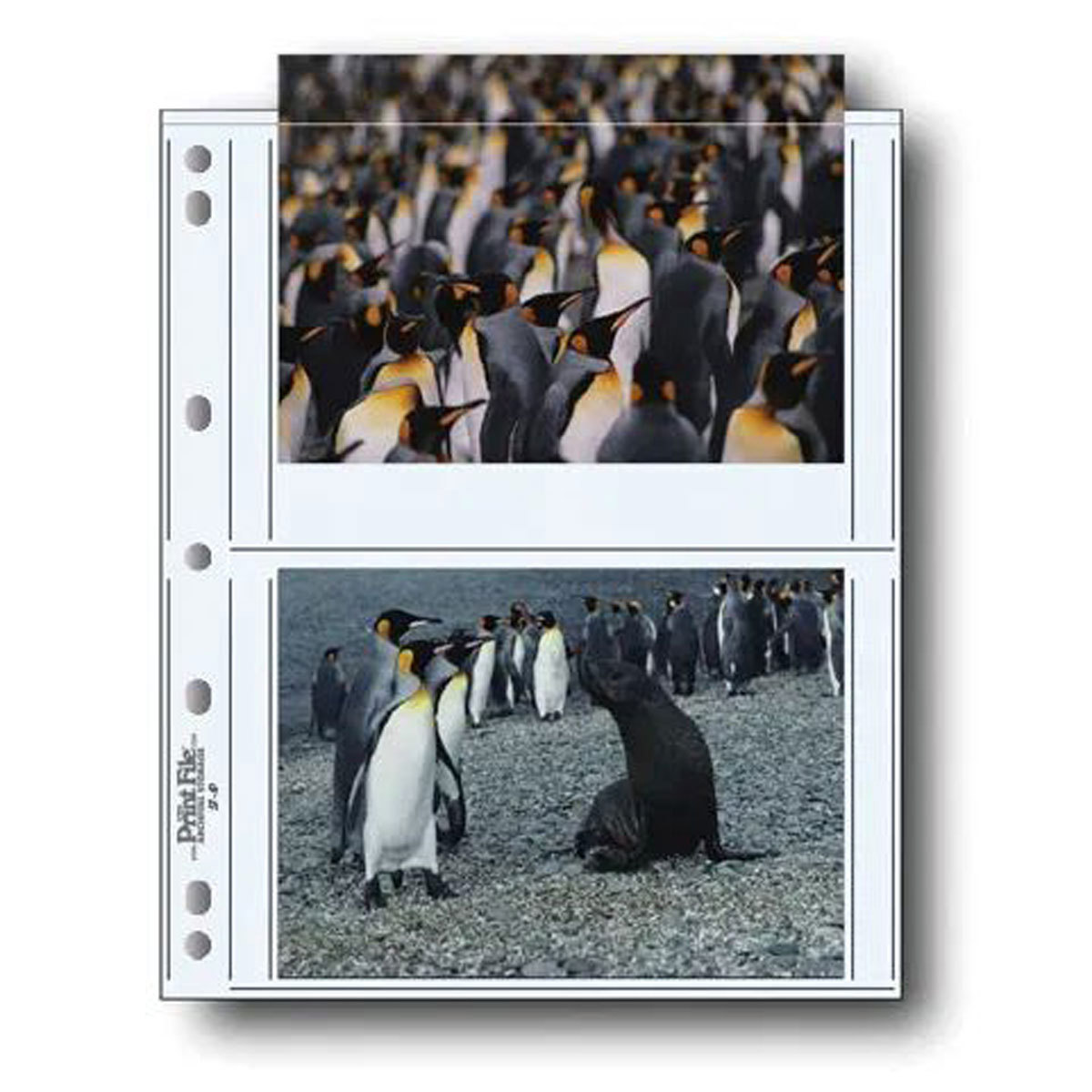 

Print File 600640 Archival Photo Pages for 4 5inx7in