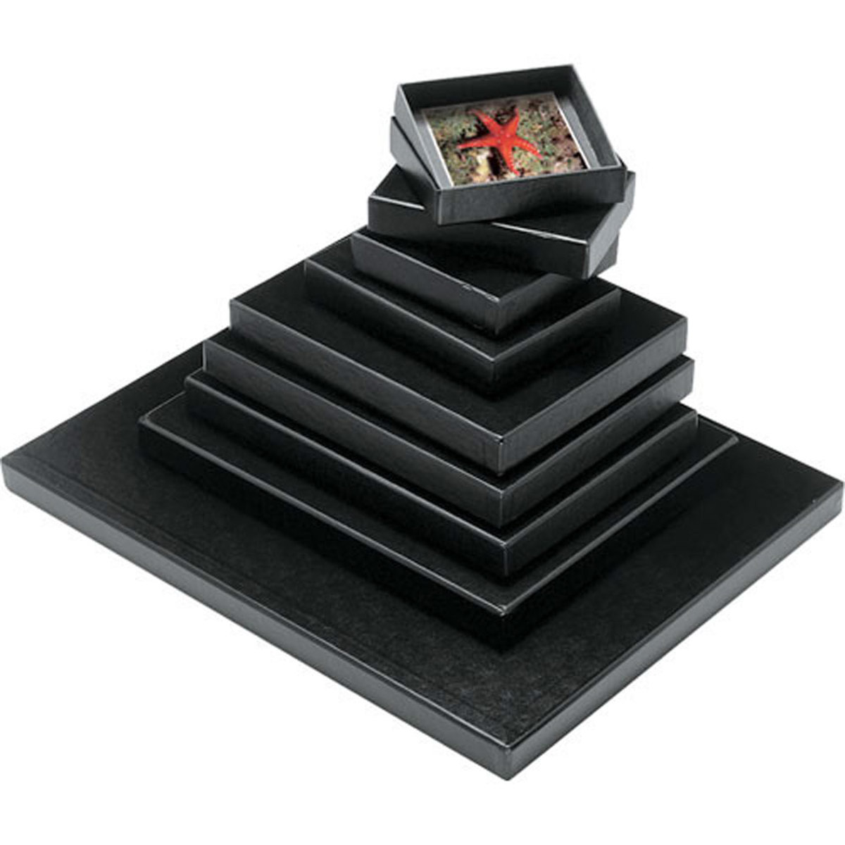 

Print File FB46 4x6" Film and Print Archival Storage Box, Black