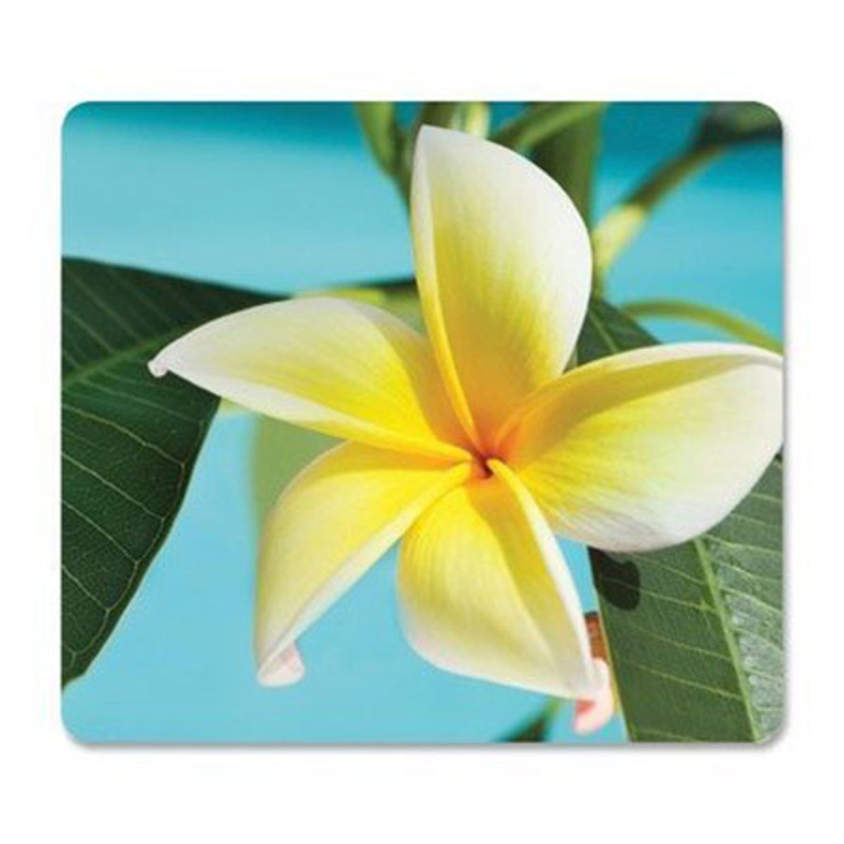 

Fellowes Recycled Optical Mouse Pad, Yellow Flower