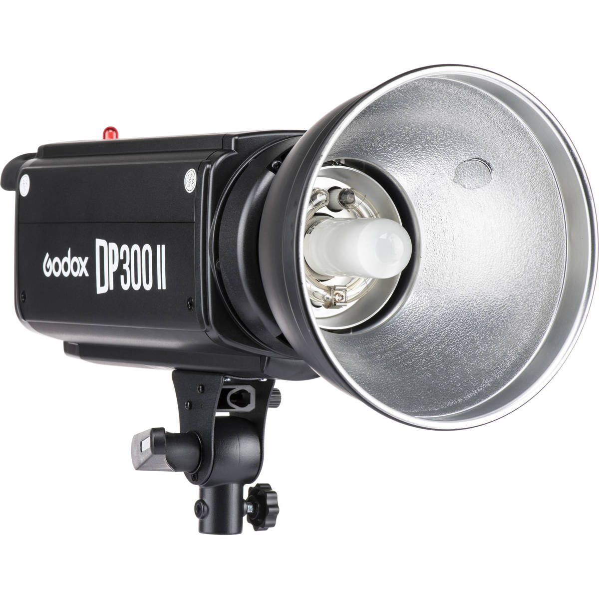 

Godox DP300II Flash Head