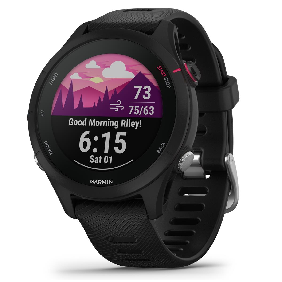 Image of Garmin Forerunner 255S Music Multisport GPS Smartwatch