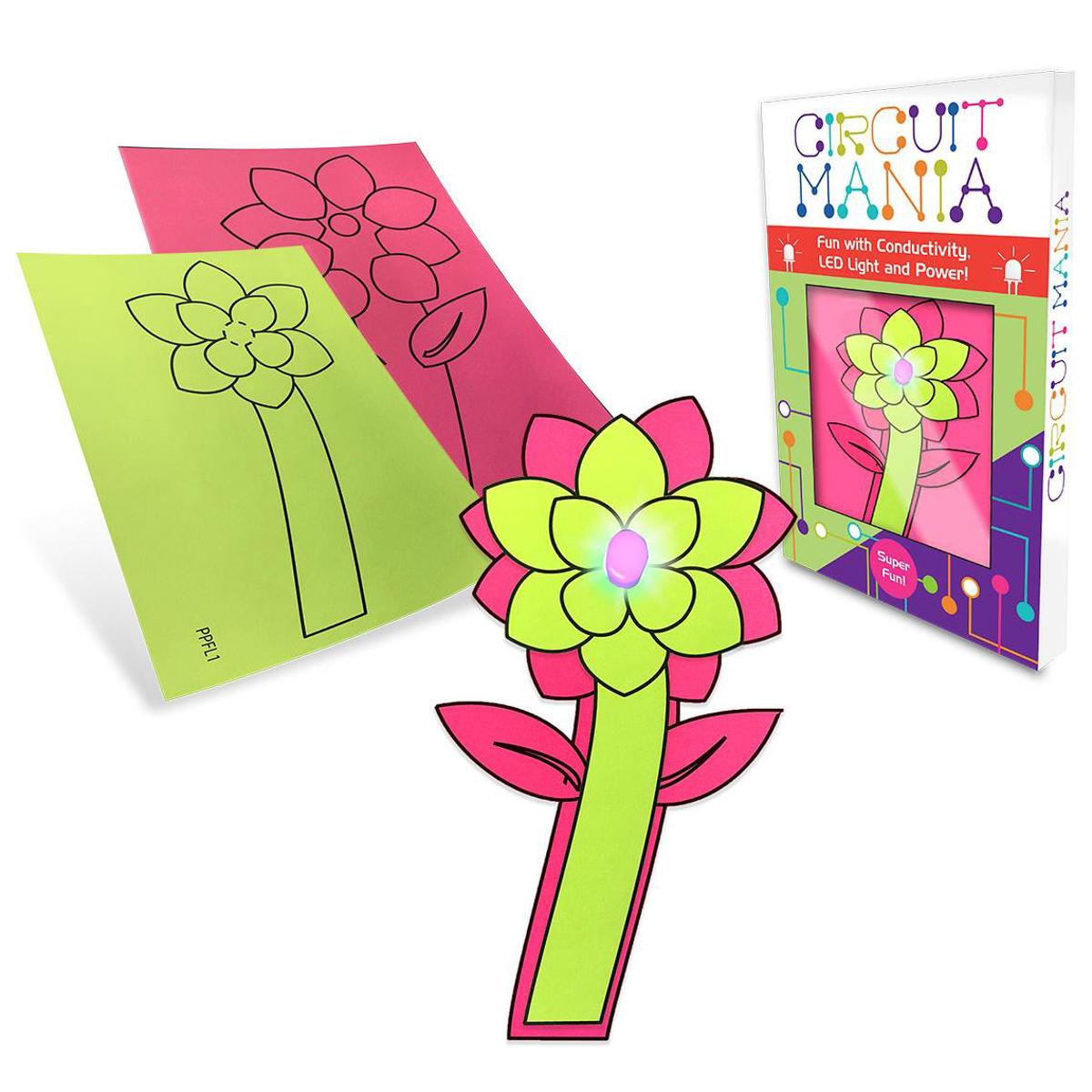 Image of Hamilton Buhl HamiltonBuhl Circuit Mania STEAM Education Flower Kit