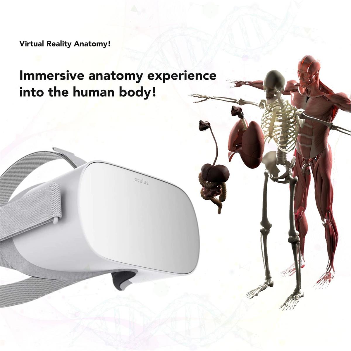 Image of Hamilton Buhl VR-ANT Oculus Go VR Anatomy and Body Systems Experience License
