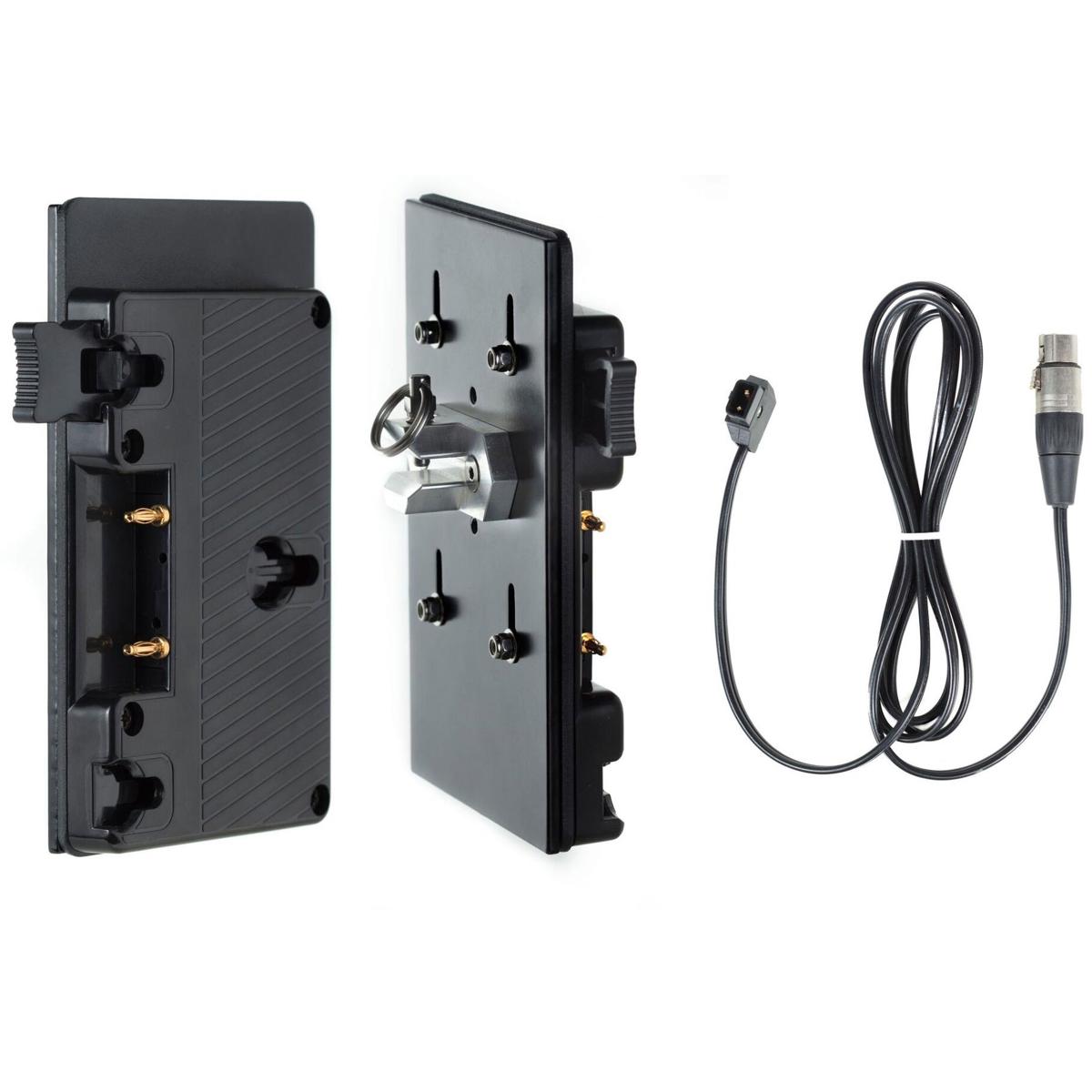 

Hive Gold Mount Battery Plate with D-Tap Connector and Cable