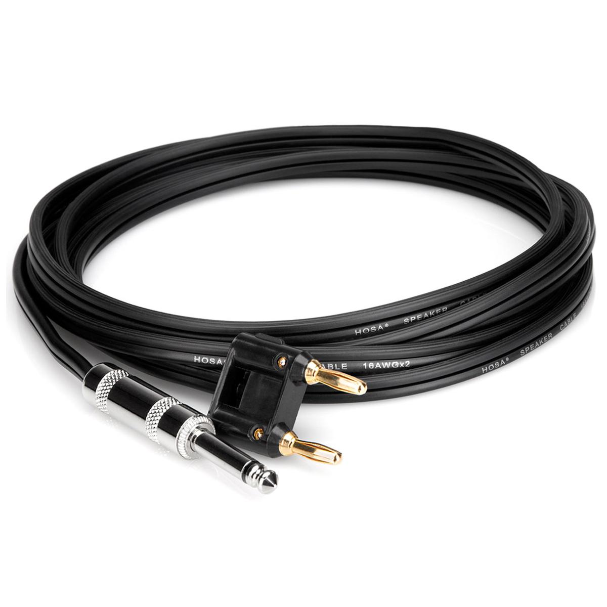

Hosa Technology Hosa SKZ-600 Series 1/4" TS to Dual Banana Speaker Cable, 10'