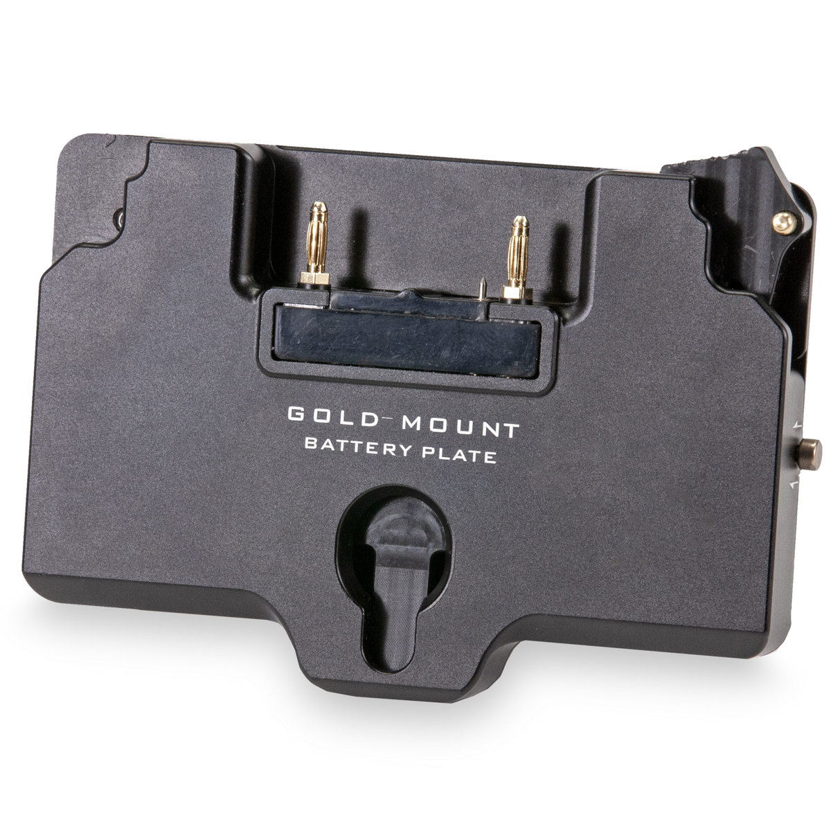 

Tilta Battery Plate for RS 2 Power Pass-Through Plate, Gold Mount