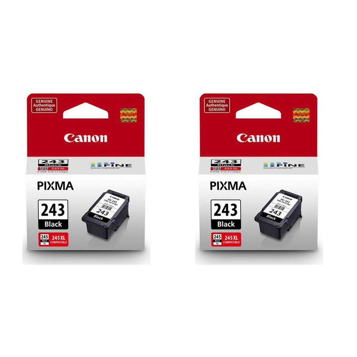 Картридж с черными чернилами Canon 2 Pack PG-243 для некоторых принтеров PIXMA - 5,6 мл