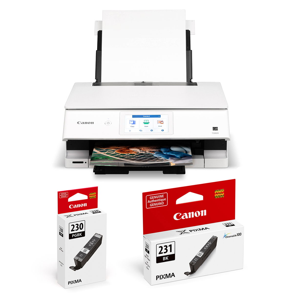 

Canon PIXMA TS8820 Wireless AIO Duplex Inkjet Printer with Black Ink Cartridge