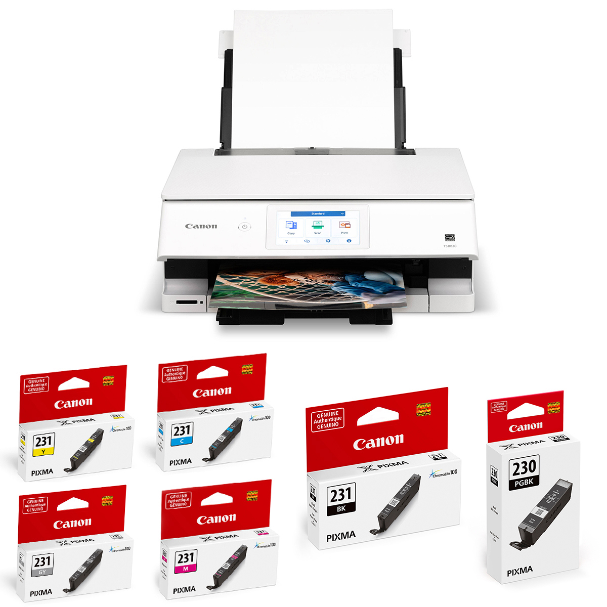 

Canon PIXMA TS8820 Wireless All-In-One Duplex Color Inkjet Printer w/Ink Bundle