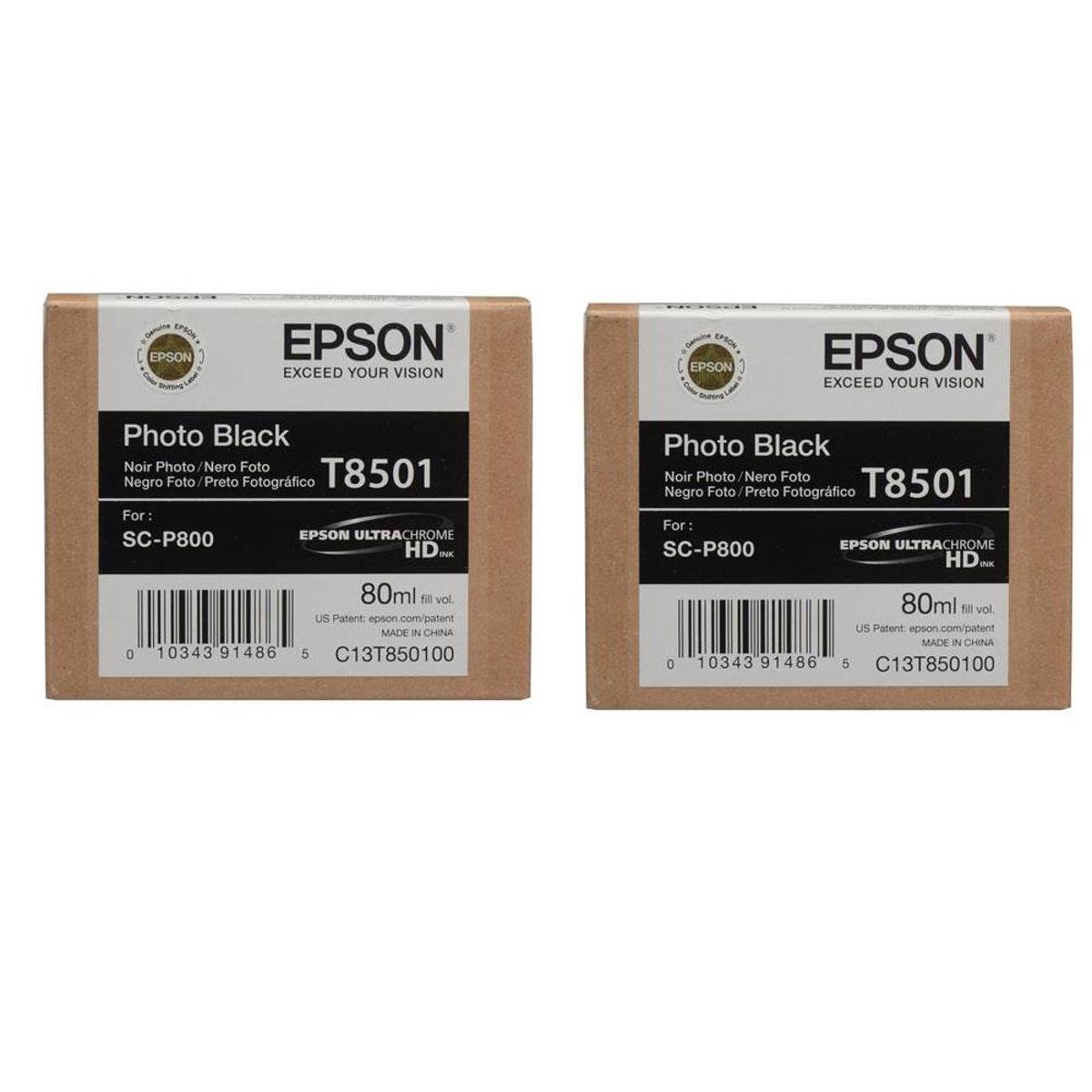 Epson T850100 2