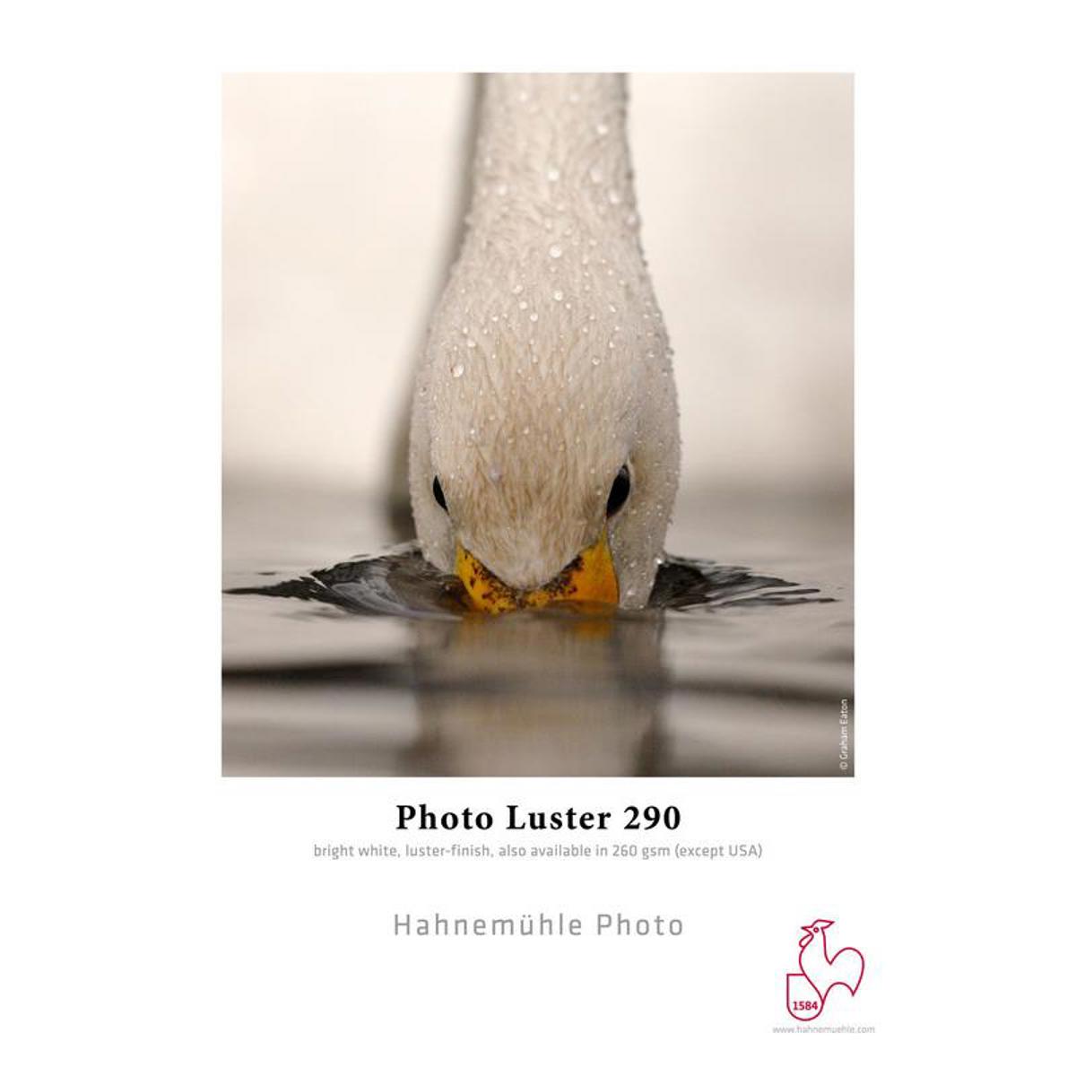 

Hahnemuhle Photo Luster 290 Inkjet Paper, 8.5x11", 25 Sheets