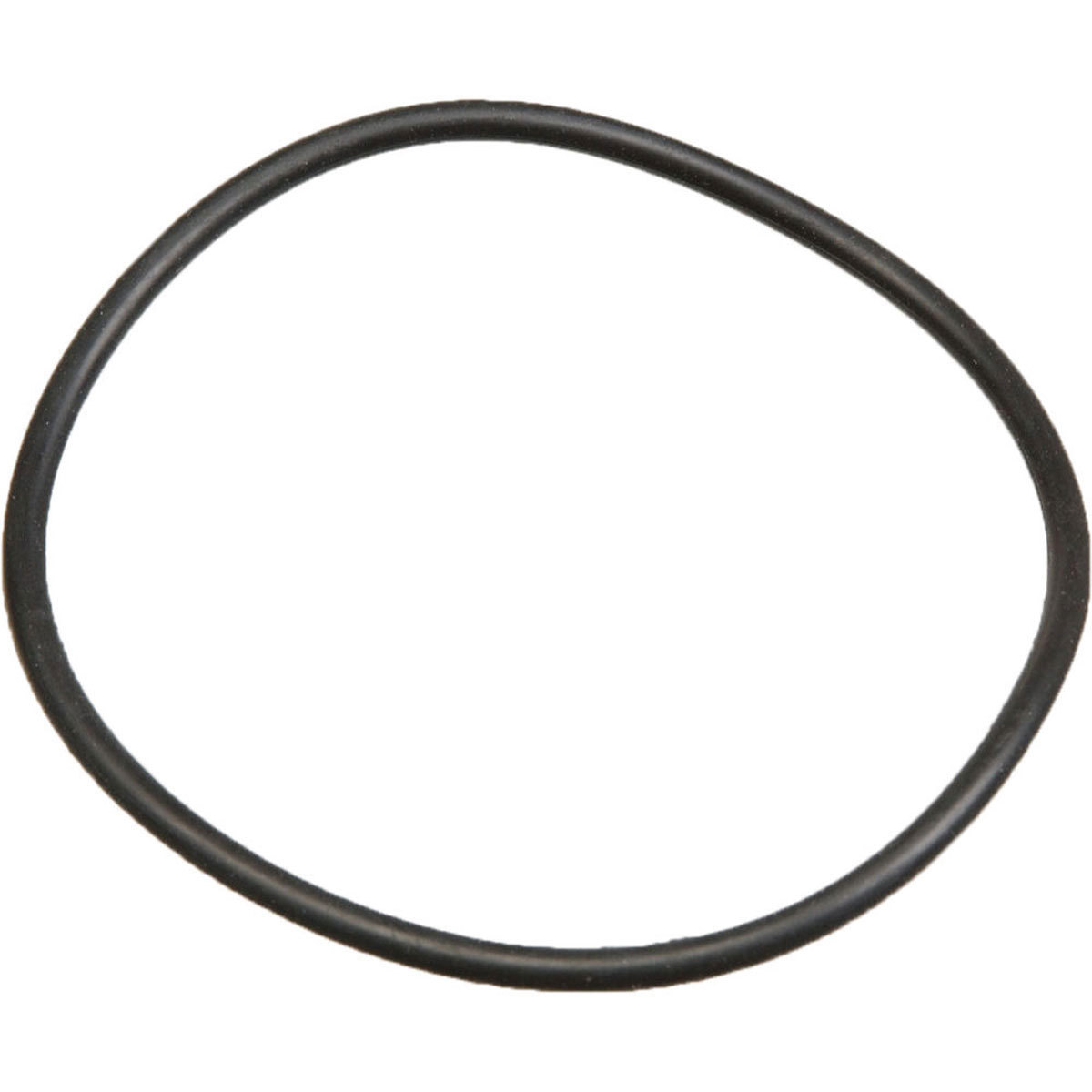

Ikelite 13236 Replacement O Ring for Substrobe DS125