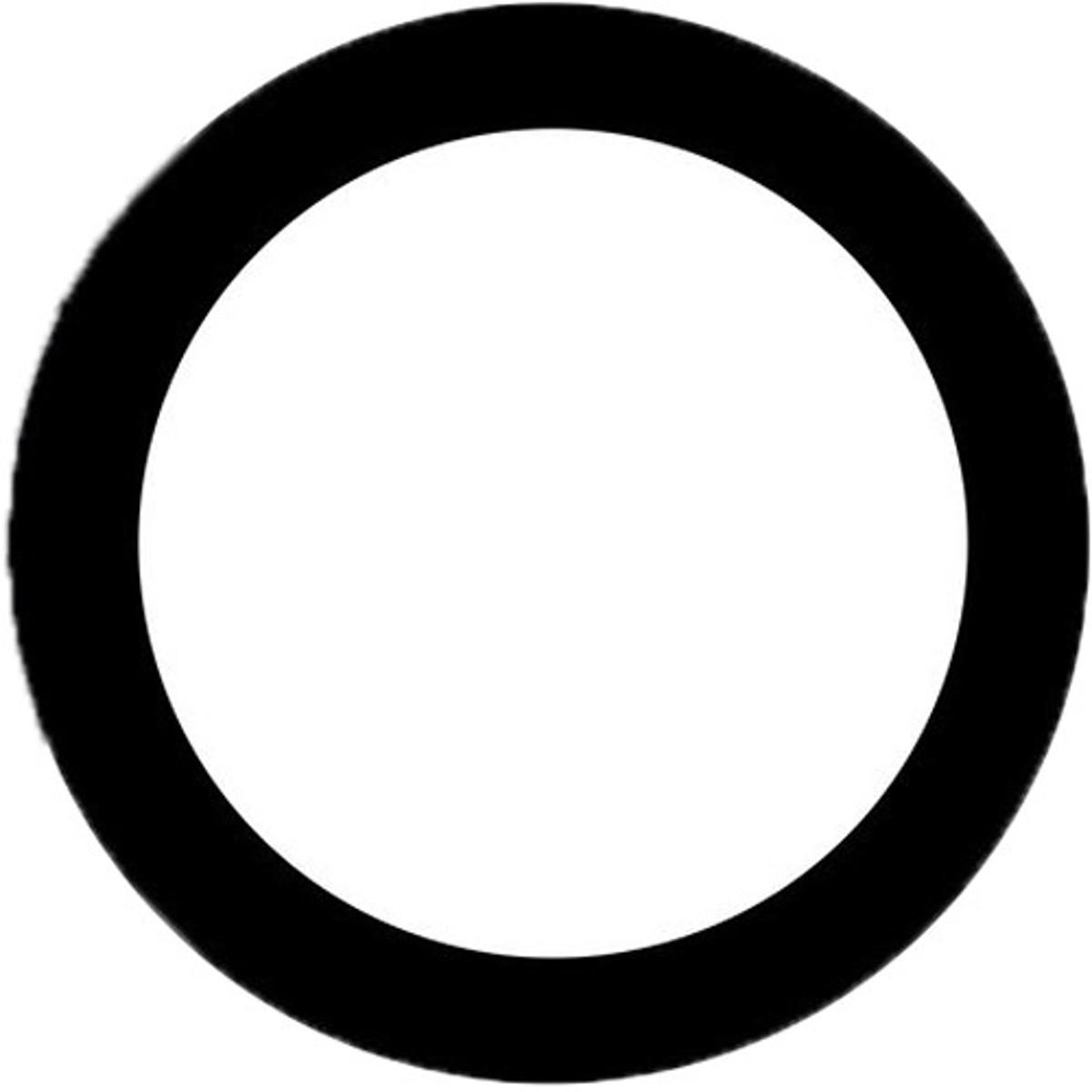 

Ikelite Anti-Reflection Ring for Sony FE 16-35mm f/2.8 (Type I) GM Lens