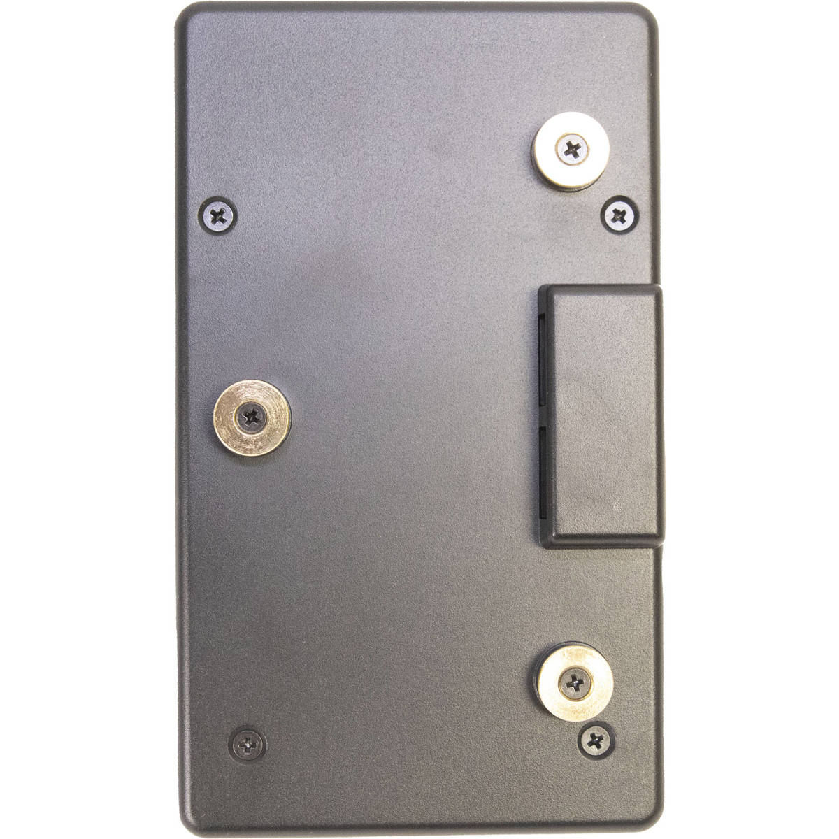 

IndiPRO Battery Emilinator Gold Mount Plate w/4-Pin XLR & 4-Way D-Tap Splitter