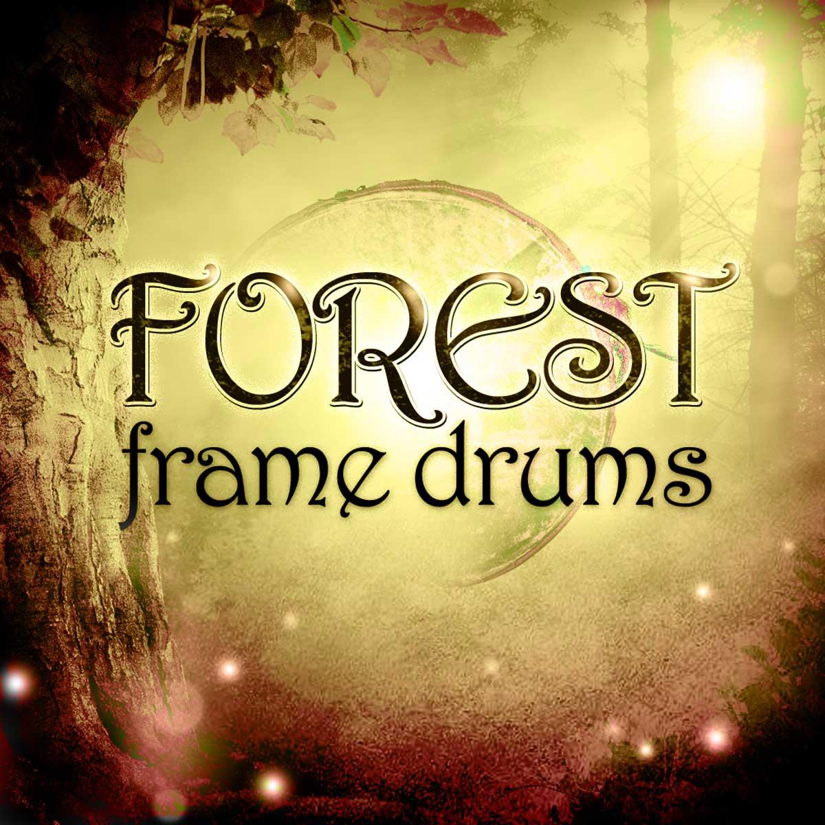 Image of Impact Soundworks Forest Frame Drums - Virtual Instrument