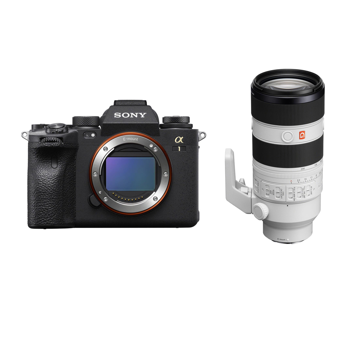 

Sony A1 Mirrorless Digital Camera with FE 70-200mm f/2.8 GM OSS II Lens