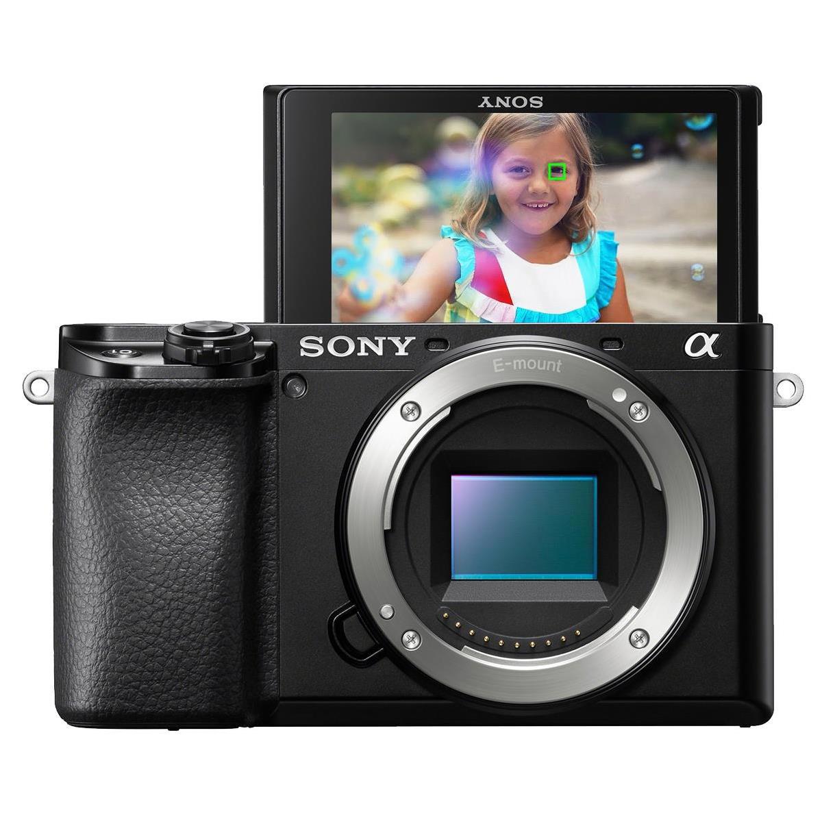 

Sony Alpha a6100 Mirrorless Camera