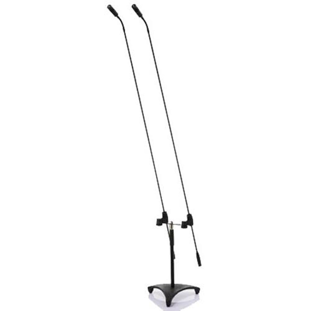

JTS FGM-62T Electret Dual Floor Stand Microphone with Carbon Boom, 50-18000Hz