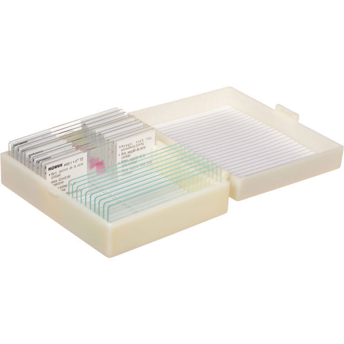 

Konus Biology 2 Prepared Slide Set: Second Series Human Tissues, 10 Slides
