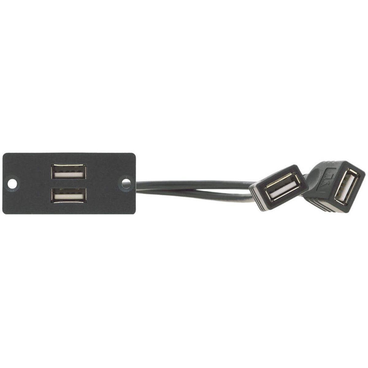 

Kramer Electronics WU-2AA Dual USB-A to Dual USB-A Wall Plate Insert, Black