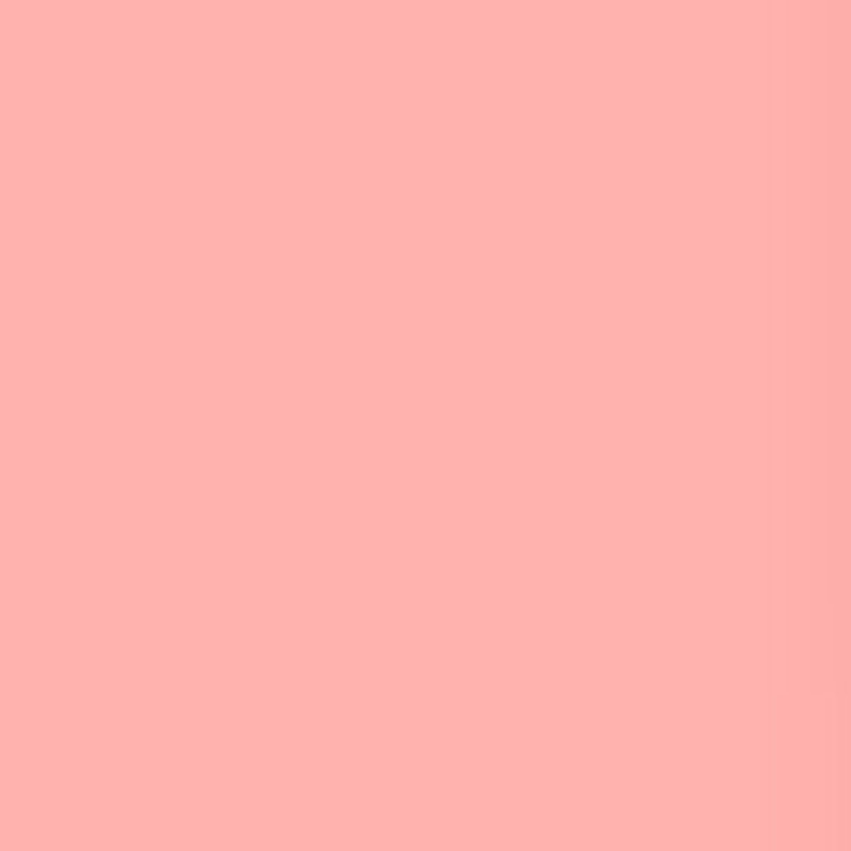 

Lee Filters Lee Light Salmon 48" x 25' Roll Gel Filter