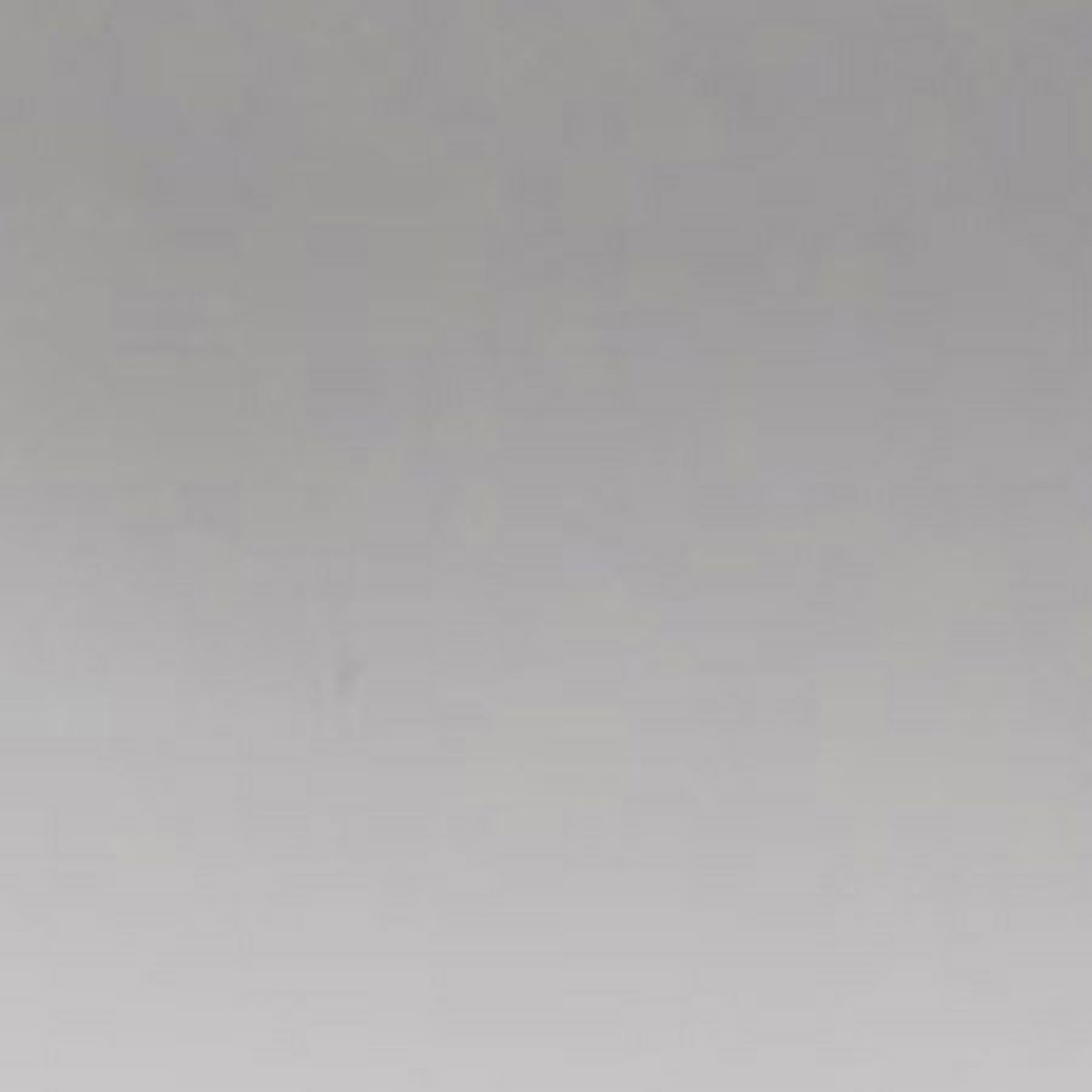 

Lee Filters Lee Mirror Silver 48" x 25' Roll Gel Filter