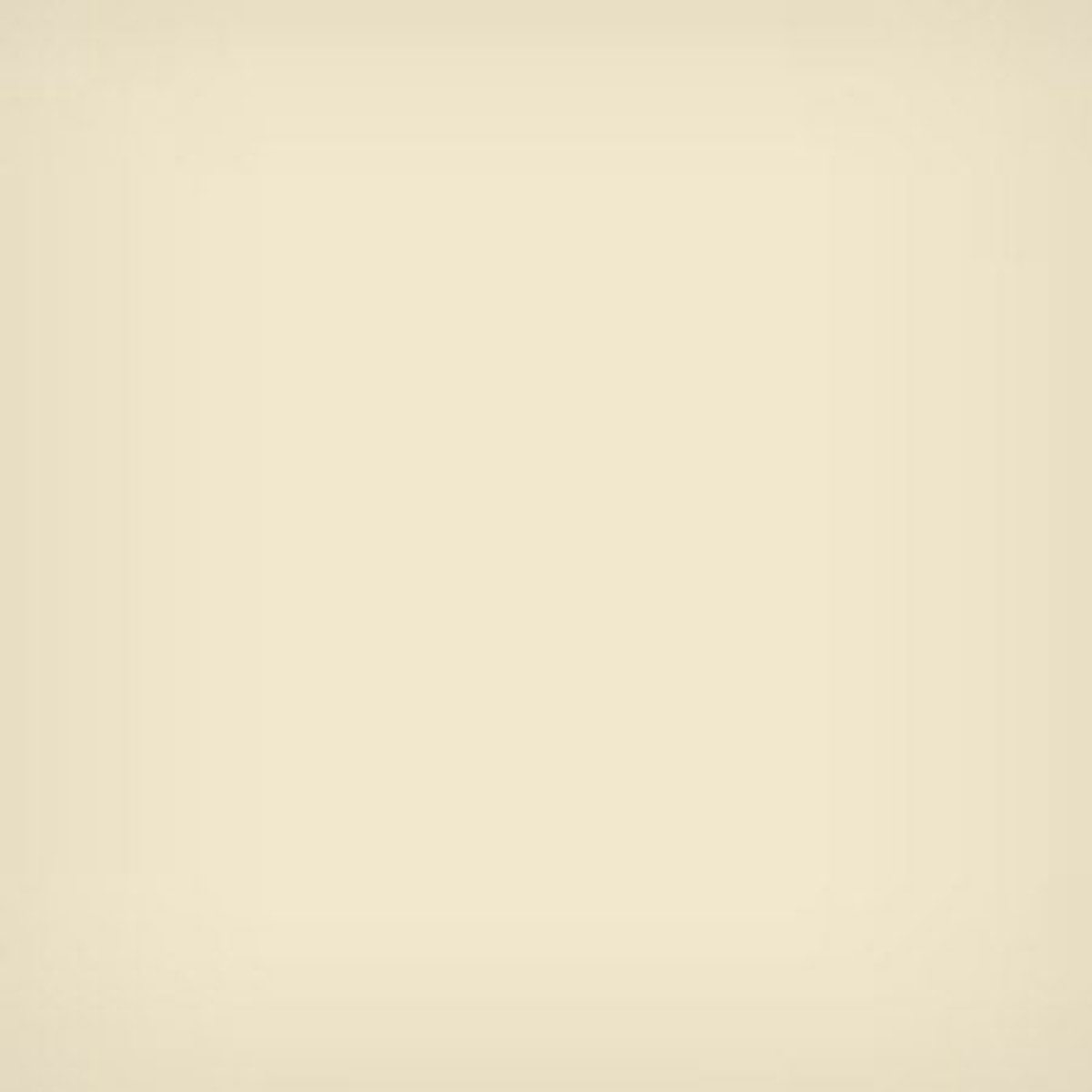 

Lee Filters 3x3" 81B Color Conversion Polyester Filter