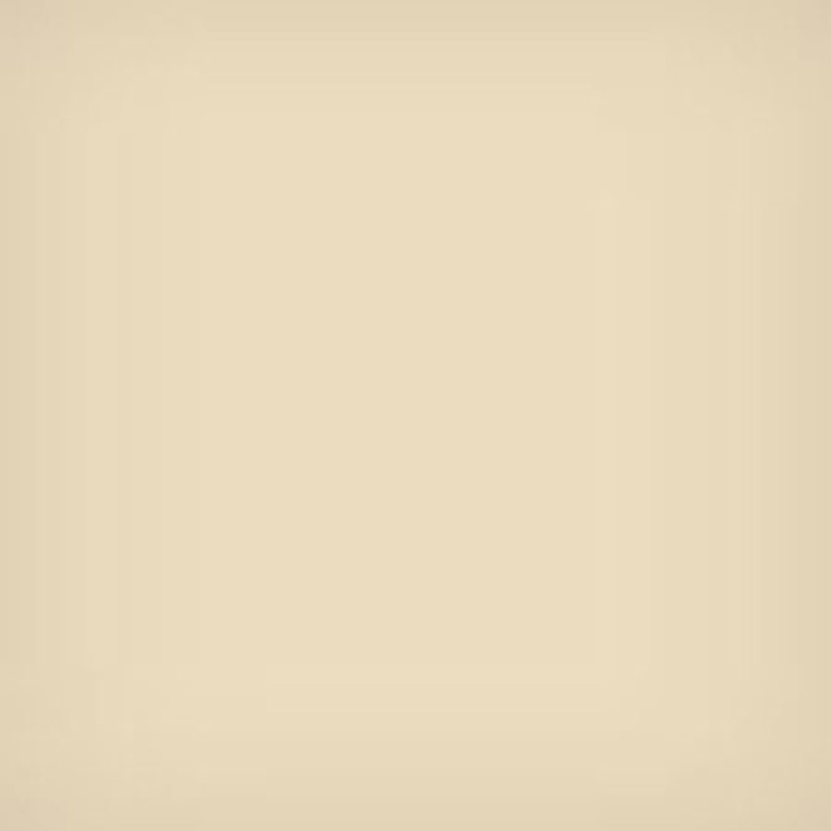 

Lee Filters 4x4" 81C Color Conversion Polyester Filter