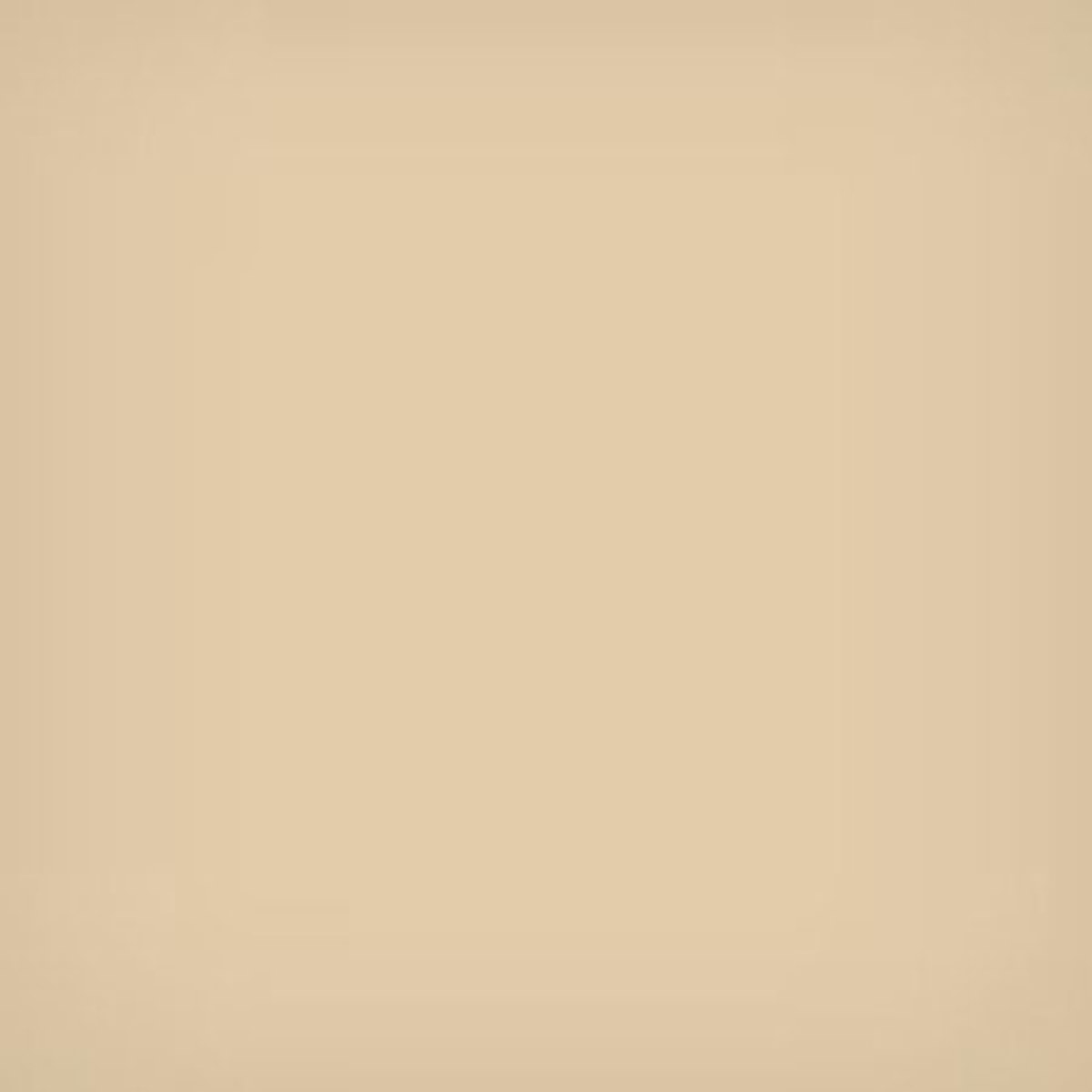 

Lee Filters 4x4" 81D Color Conversion Polyester Filter