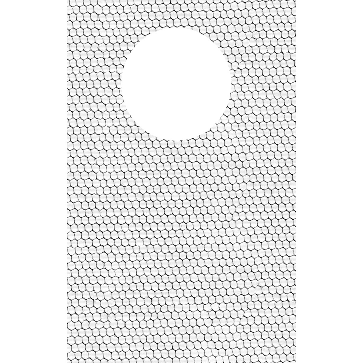 

Lee Filters Lee BN1CS 4x6in Black Net with Clear Spot Resin Filter
