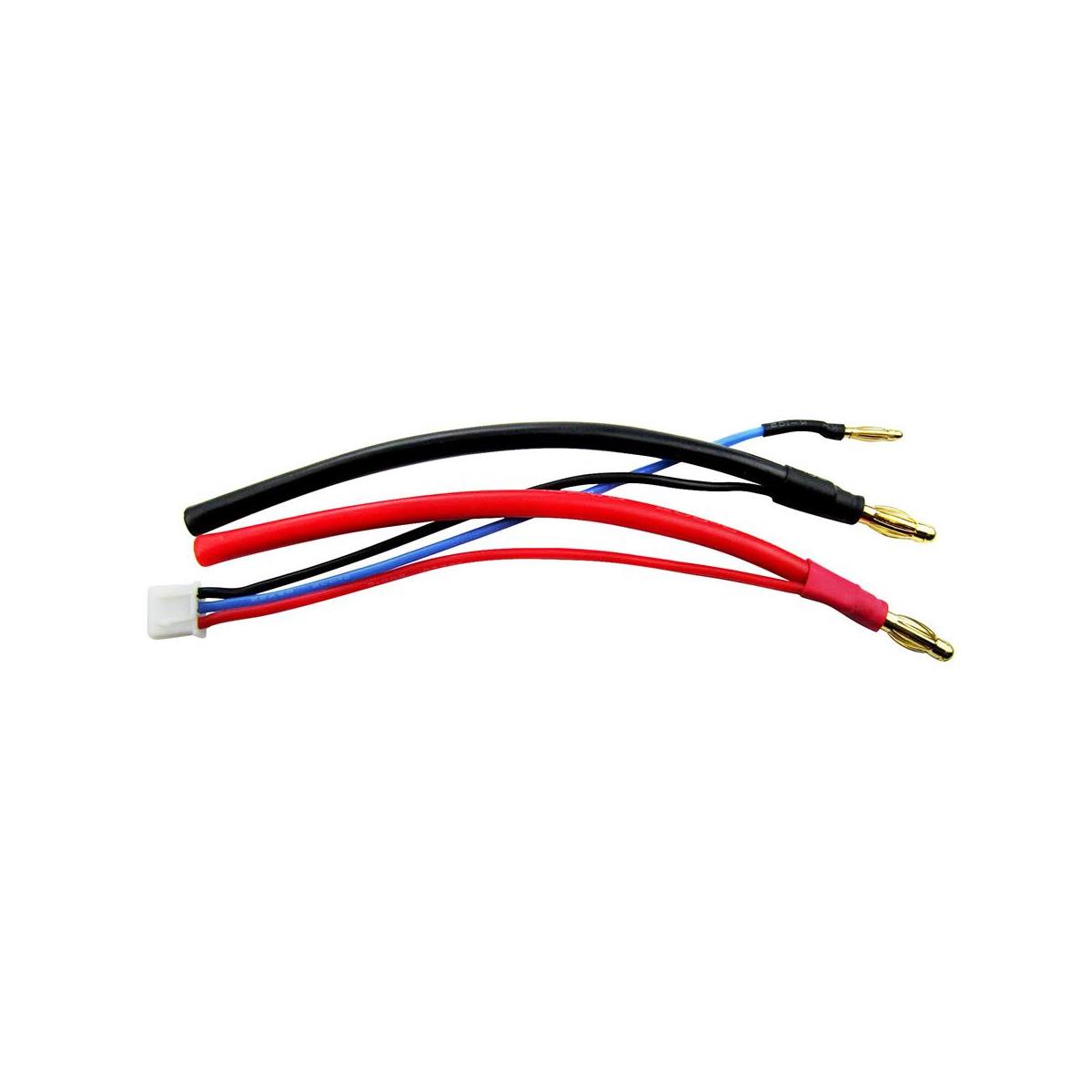 Image of COMMON SENSE RC Car Pack Balance Harness with Discharge Leads - for 2S Lipos