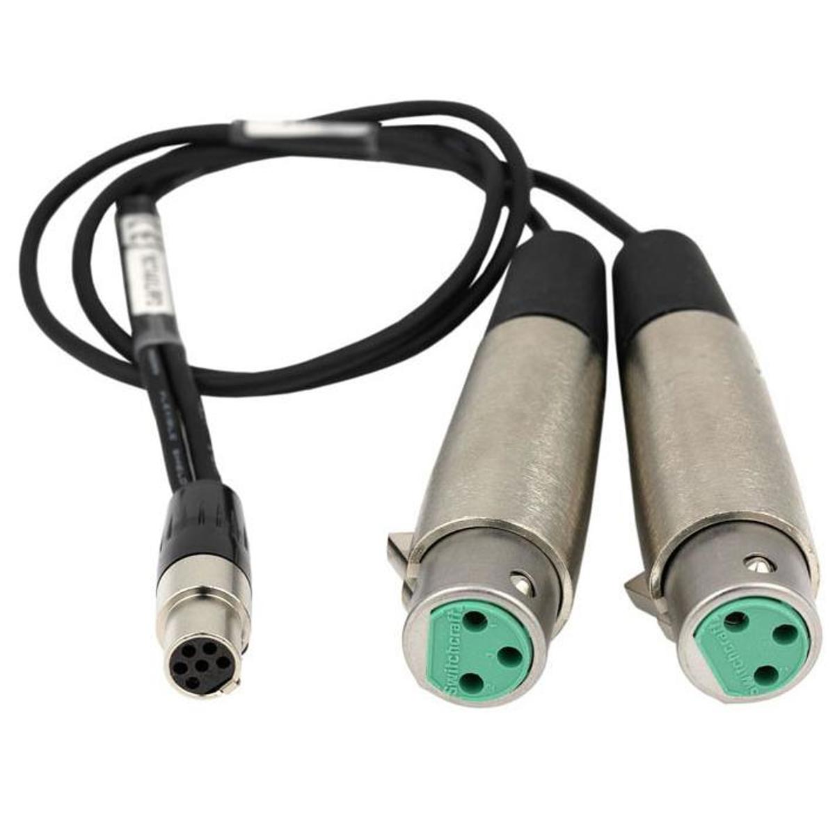 

Lectrosonics 18" Dual XLRF to TA6F Line-Level Adapter Cable for DCHT Transmitter
