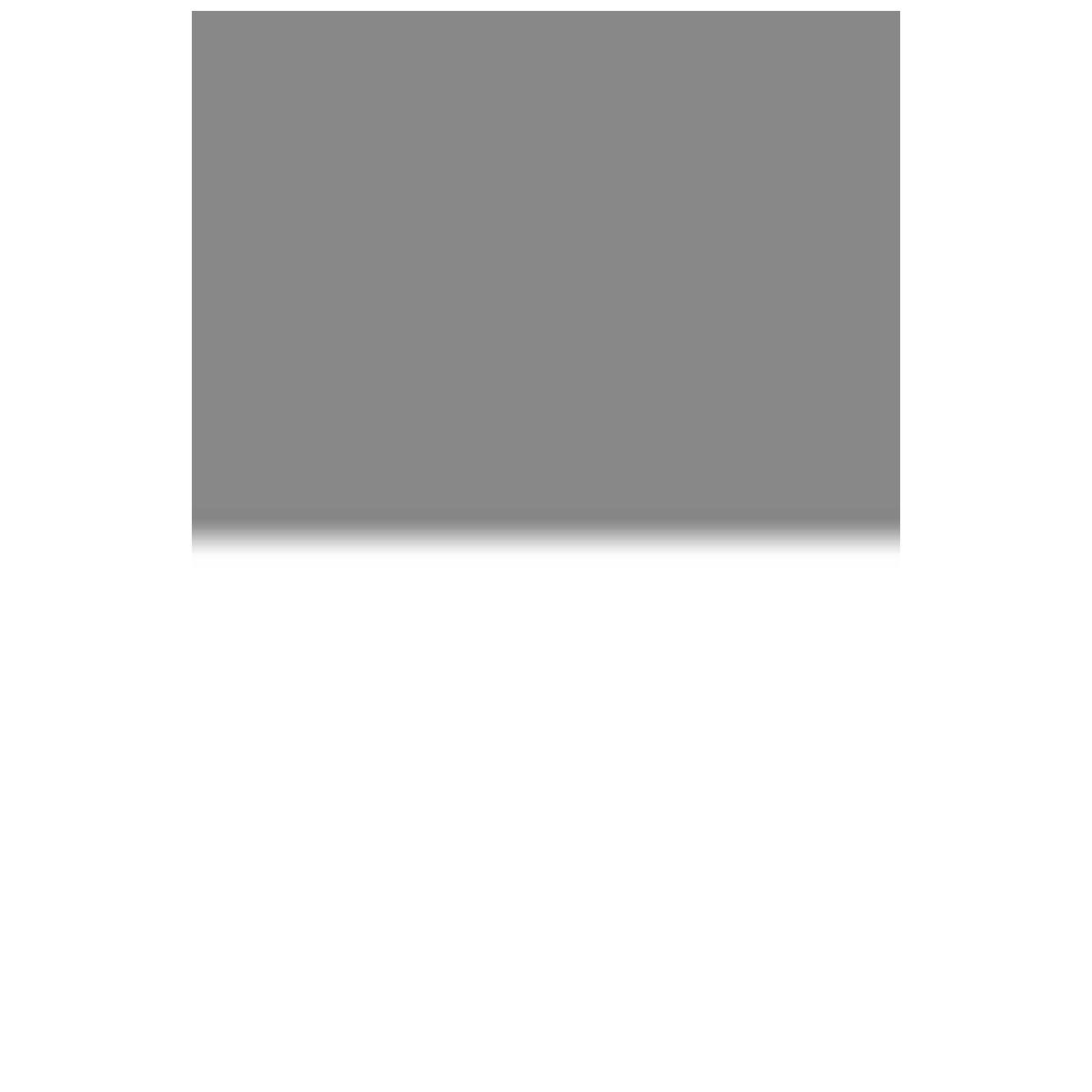 

Lee Filters Lee Neutral Density 0.45 Graduated Filter, Soft Edge, 100x150mm - Resin