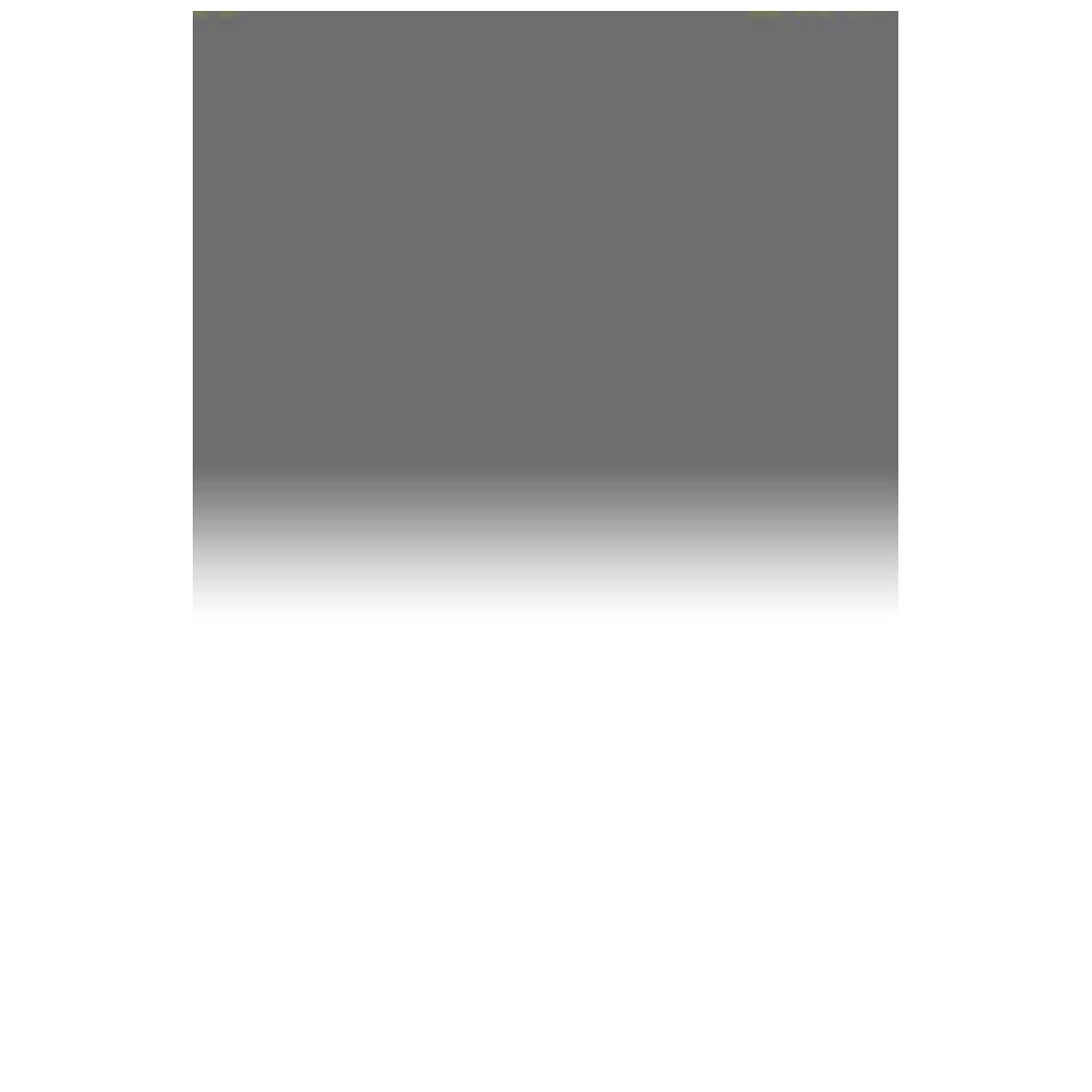 

Lee Filters Lee 0.6 Graduated Neutral Density Filter, Soft Edge