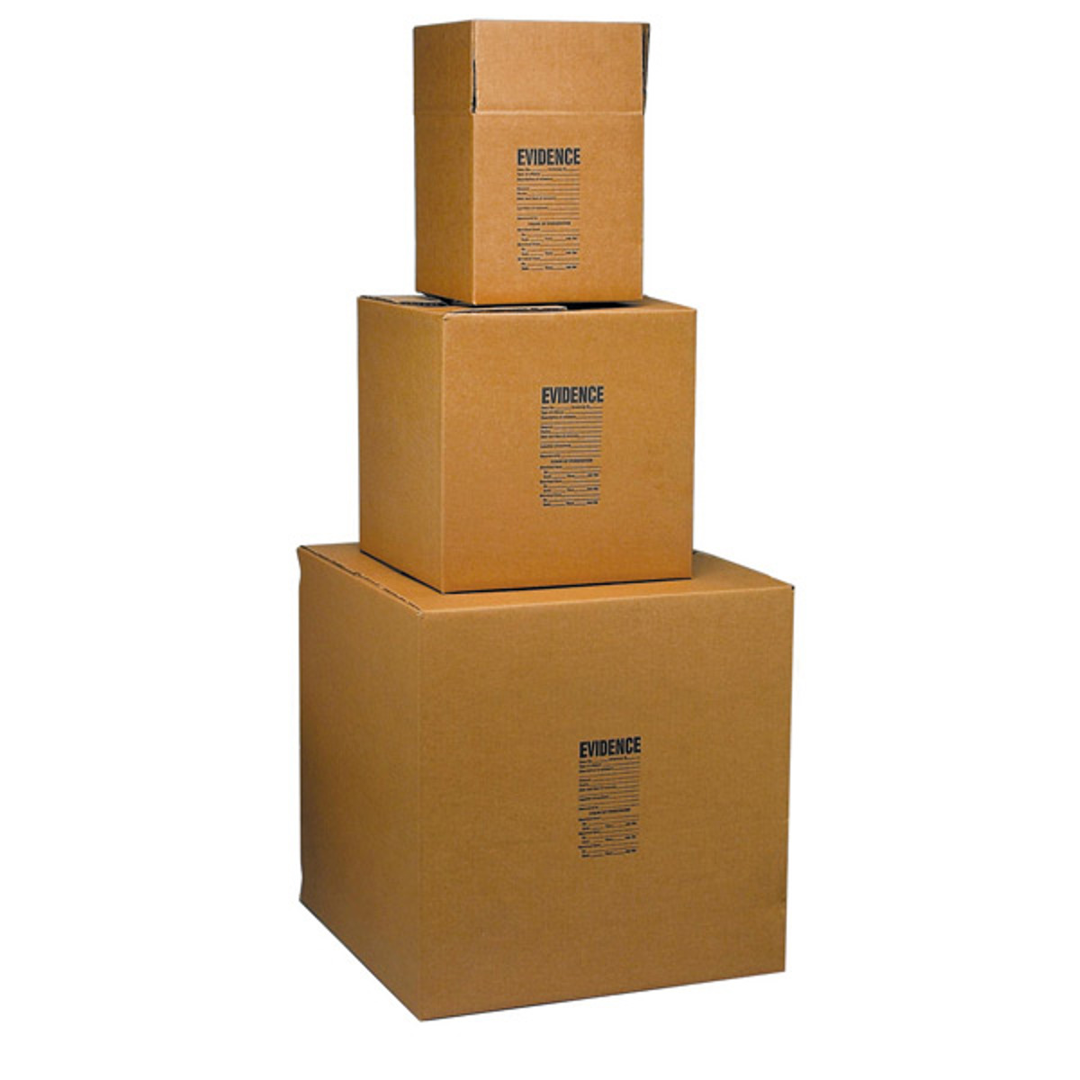 

Lynn Peavey 18x18x18" Evidence Box, 15 Pack