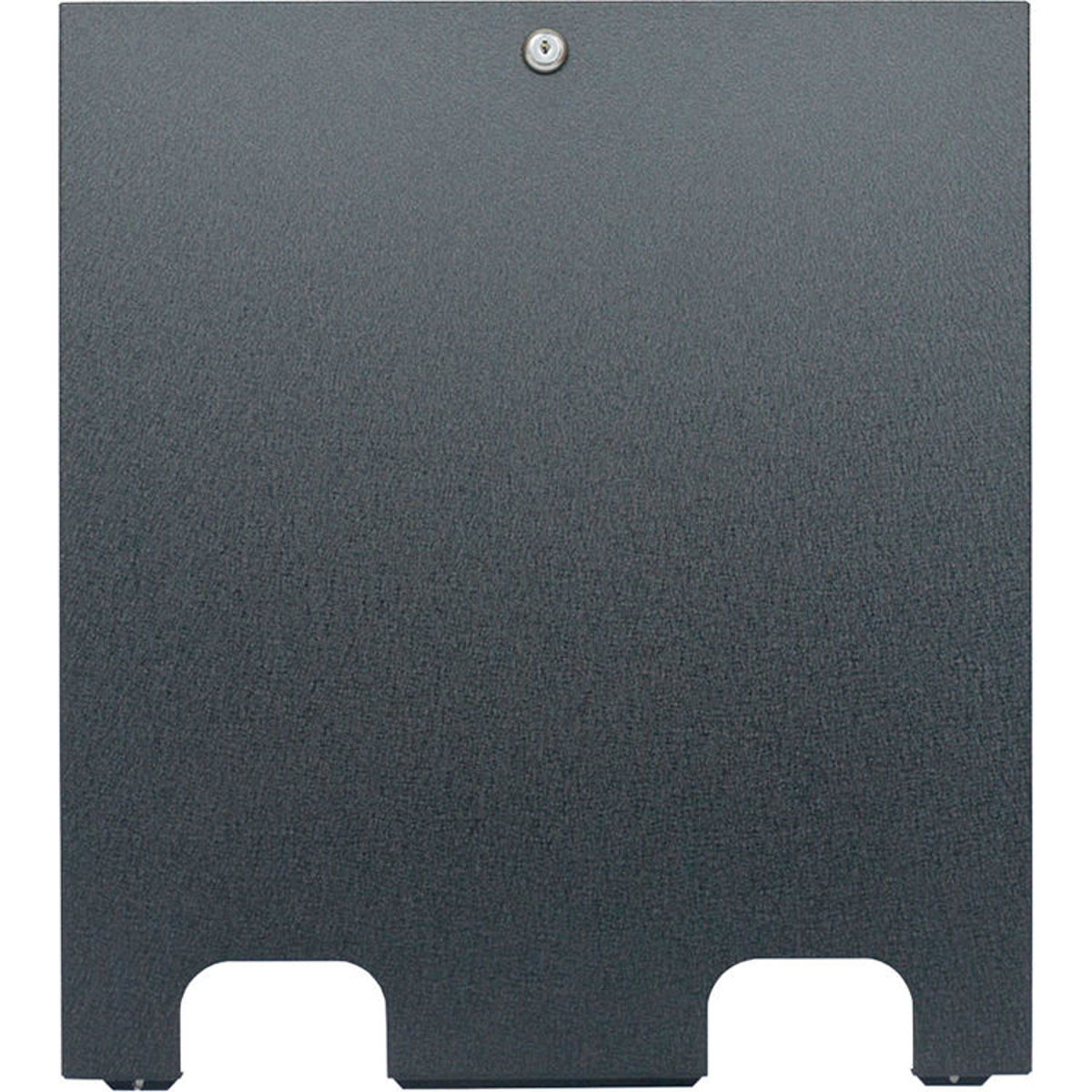 

Lowell Manufacturing LDTR-RAC16 Rear Access Cover for LDTR Racks, 16U Rack Space