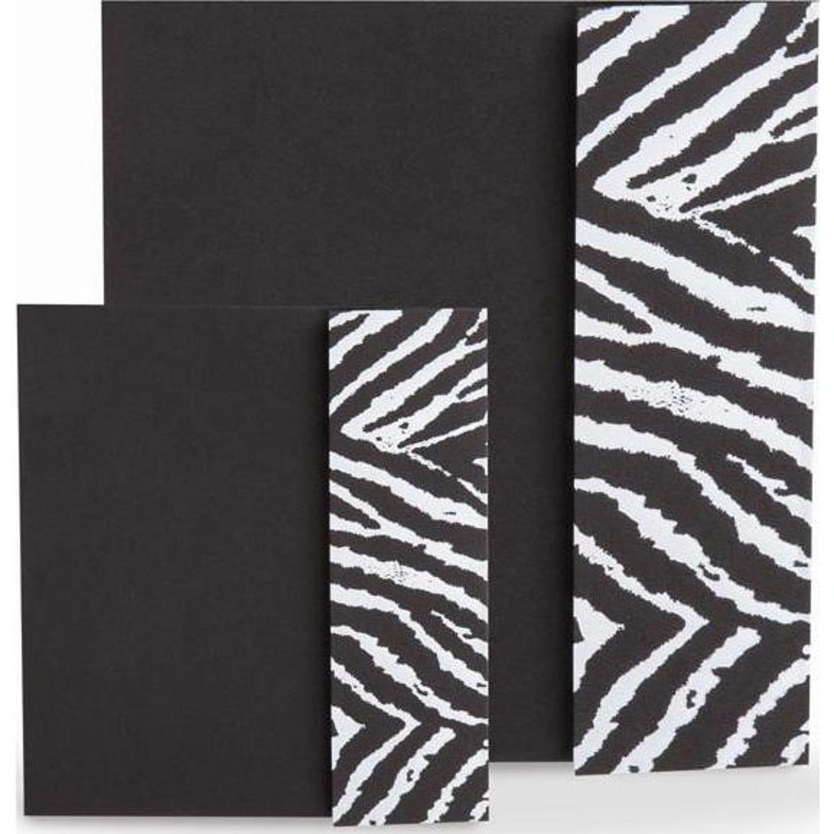 

TAP Photo Case for 100x 5x7" Print Case, Black