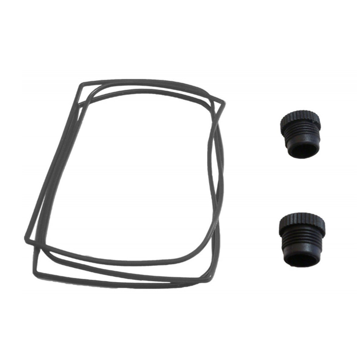 

Minelab Battery Seal O-Rings and Screw-On Cap for CTX 3030 & GPZ 7000 Detectors