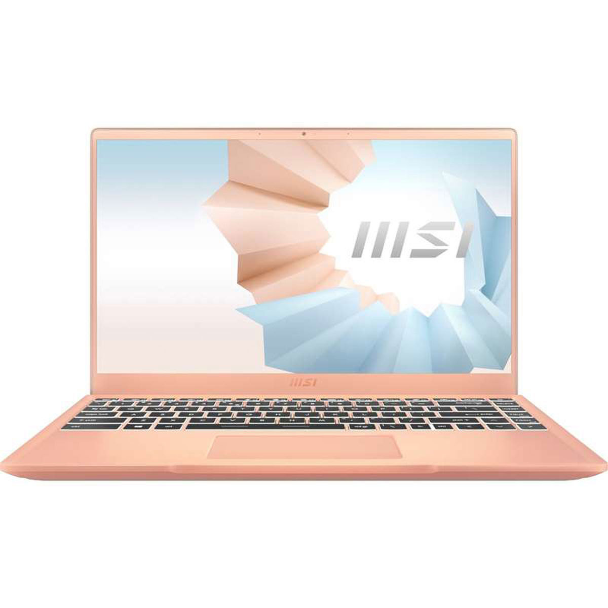 

MSI Modern 14 14" FHD Notebook, i7-1165G7 2.8GHz, 8GB, 512GB, W10H, Beige Mousse