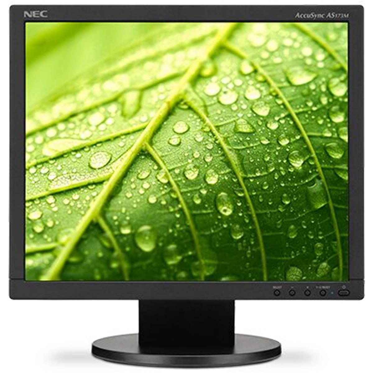 Image of NEC AccuSync AS173M 17&quot; 5:4 TN LCD Desktop Monitor