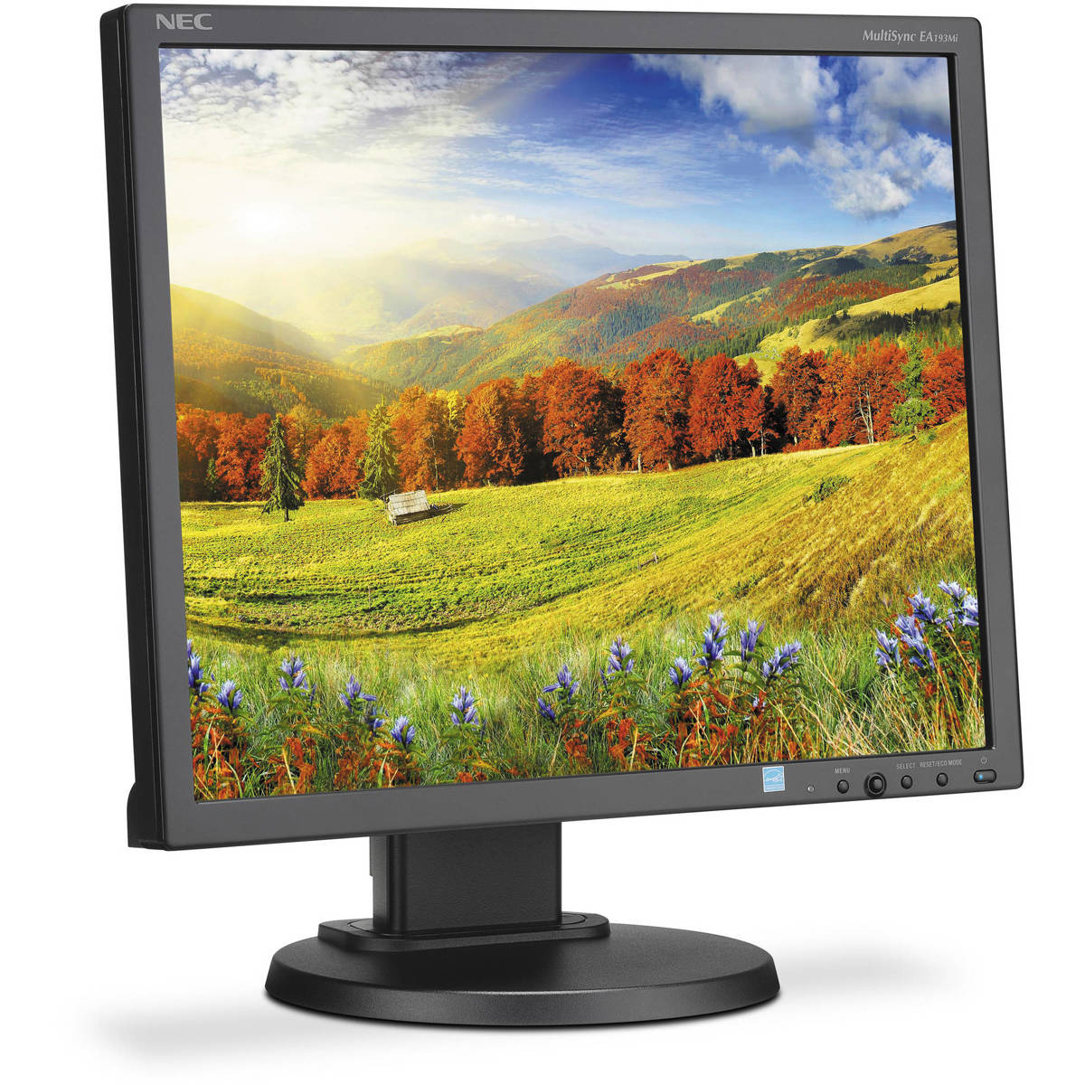 

NEC MultiSync EA193Mi 19" Desktop LED Monitor, Integrated Speakers