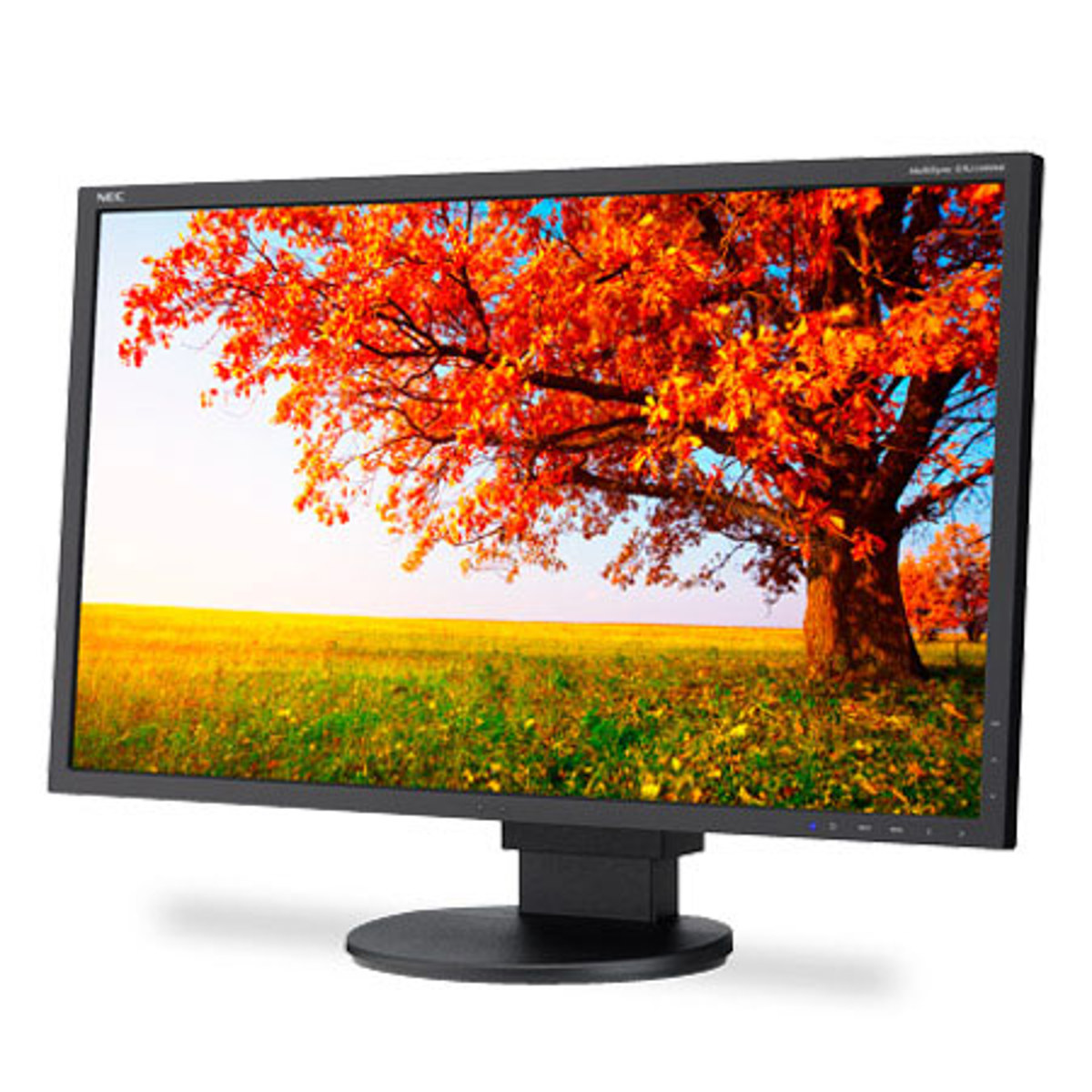 Image of NEC EA224WMI 22&quot; LED-Backlit Widescreen Desktop Monitor with IPS Panel