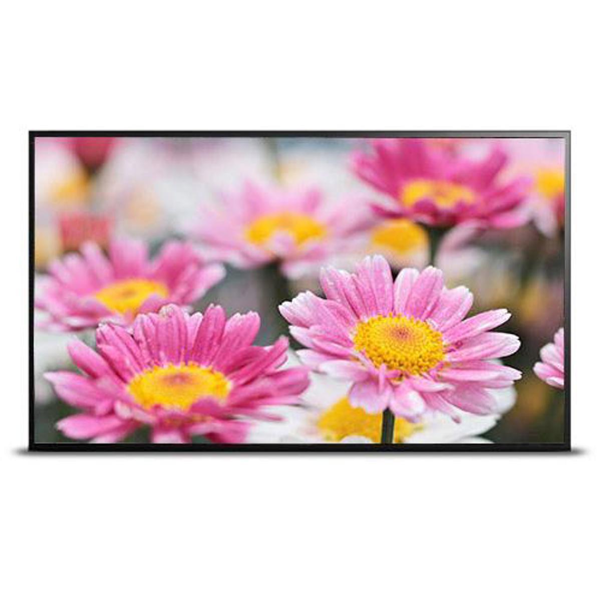 

Orion Images R4K 43" LED Monitor, Built-In Speakers, 3840x2160, 350cd/m2