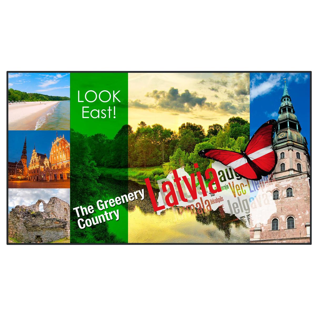 

Panasonic TH-49LF80U 49" Class Full HD Digital Link LED Display